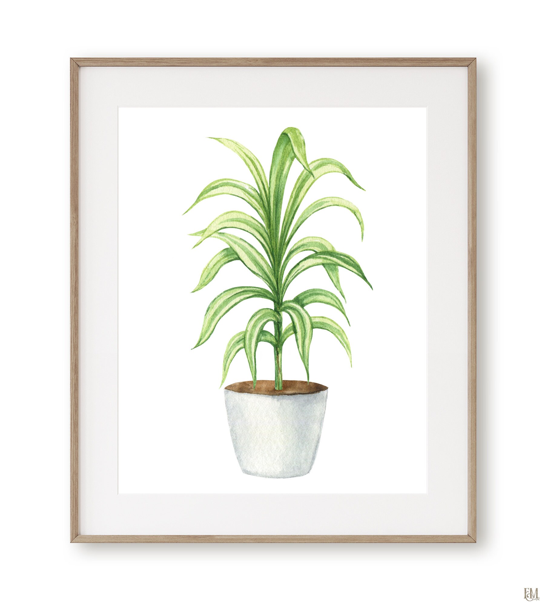 Watercolor houseplant wall art print. Plant lover gift. Etsy