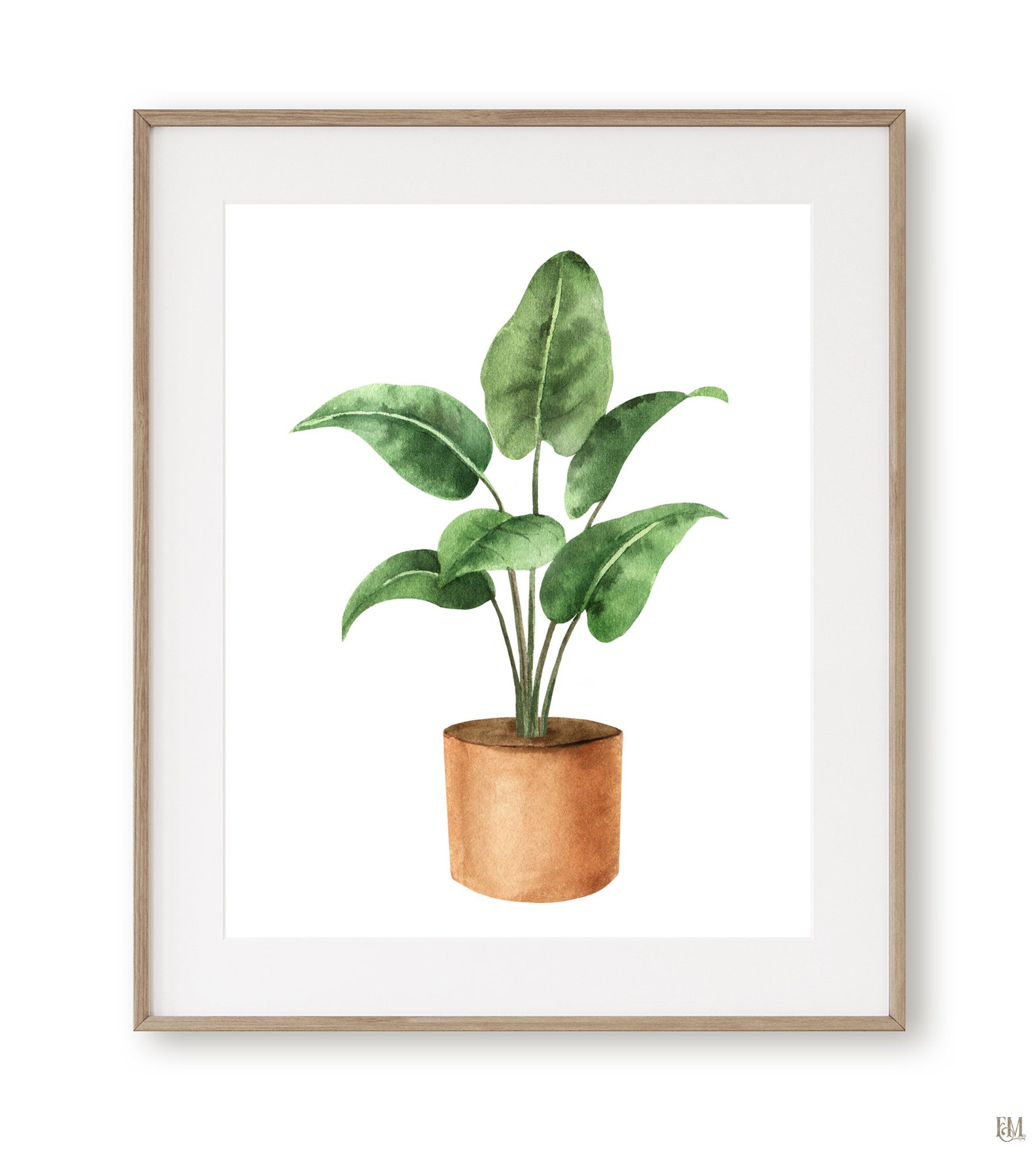 Watercolor houseplant wall art print. Plant lover gift. Etsy
