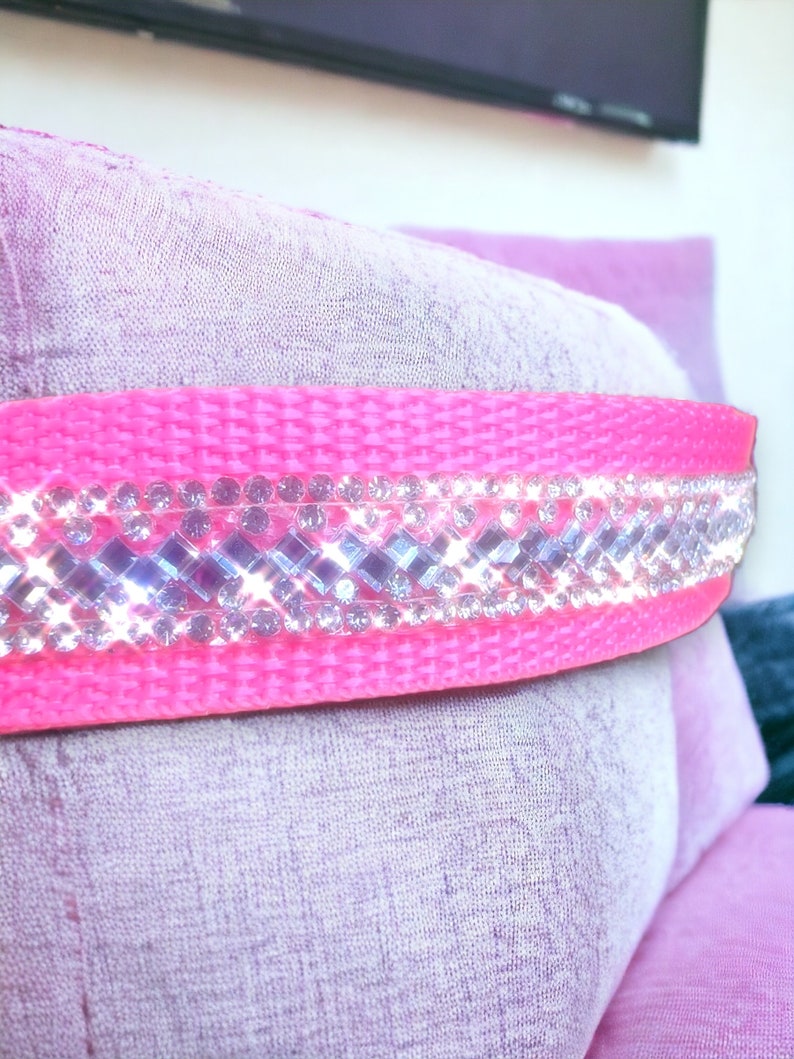 Rhinestone Dog Collar/ Sparkly Collar/bling Dog Collar/fancy Collar