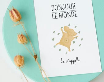 Cartes étapes bébé 1ère année - Format 10x15cm - Souvenirs bébé
