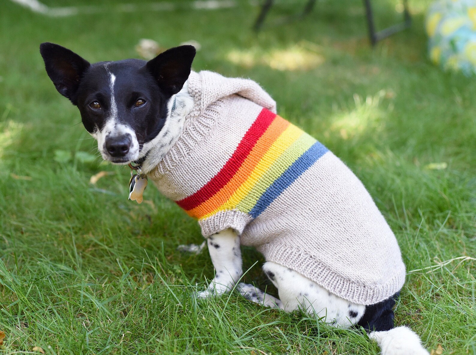 Retro Rainbow Dog Sweater Dog Sweater Knitting Pattern Etsy