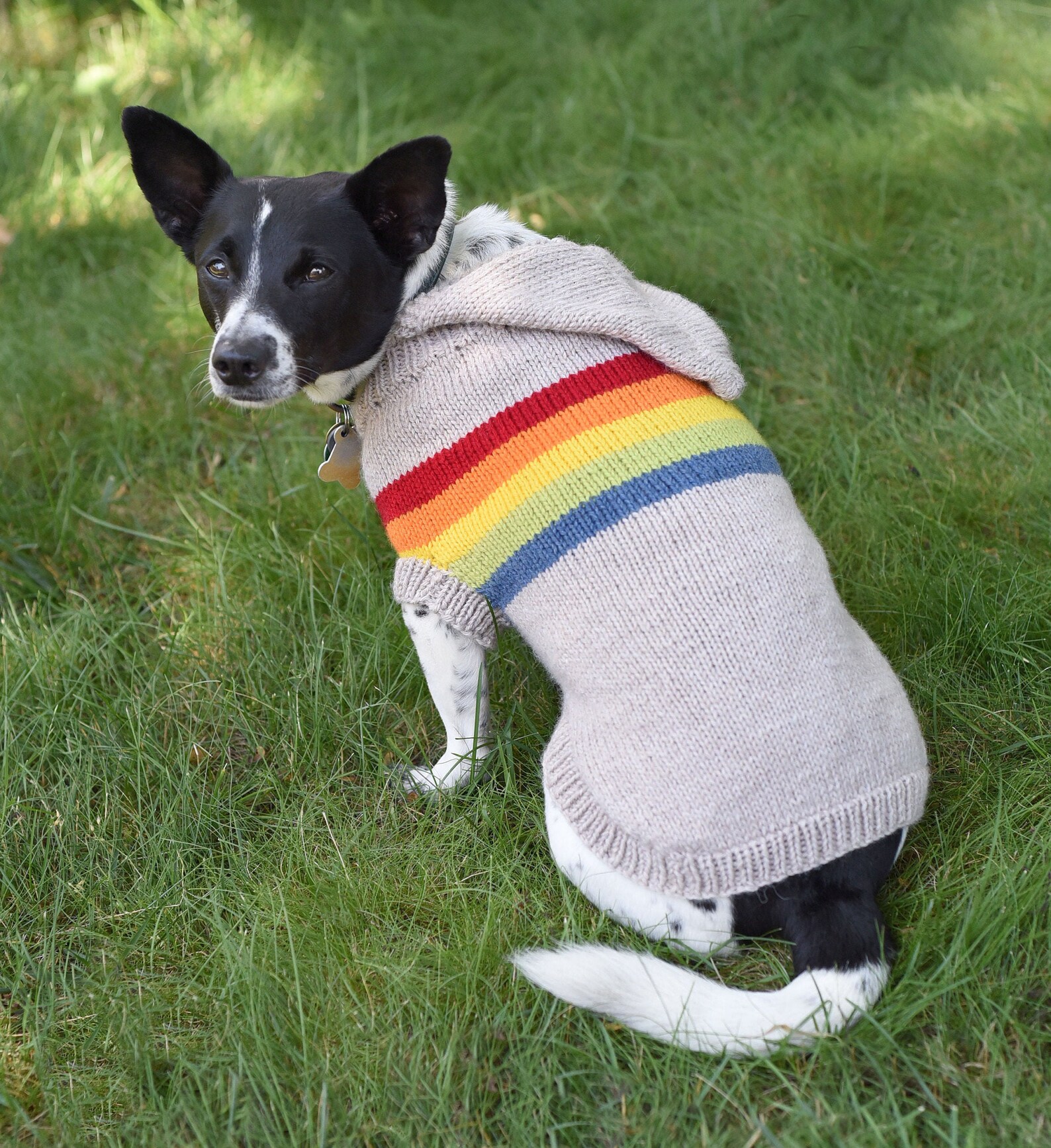 Retro Rainbow Dog Sweater Dog Sweater Knitting Pattern Etsy