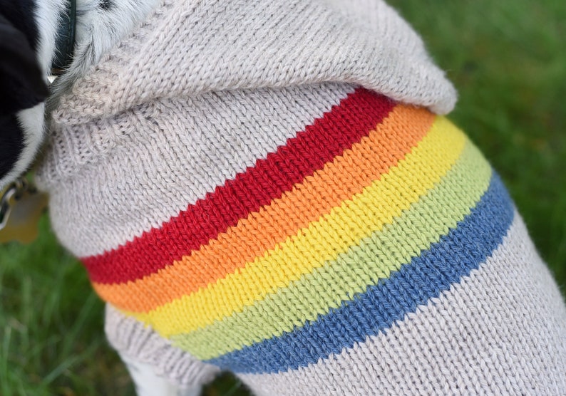 Retro Rainbow Dog Sweater Dog Sweater Knitting Pattern Etsy