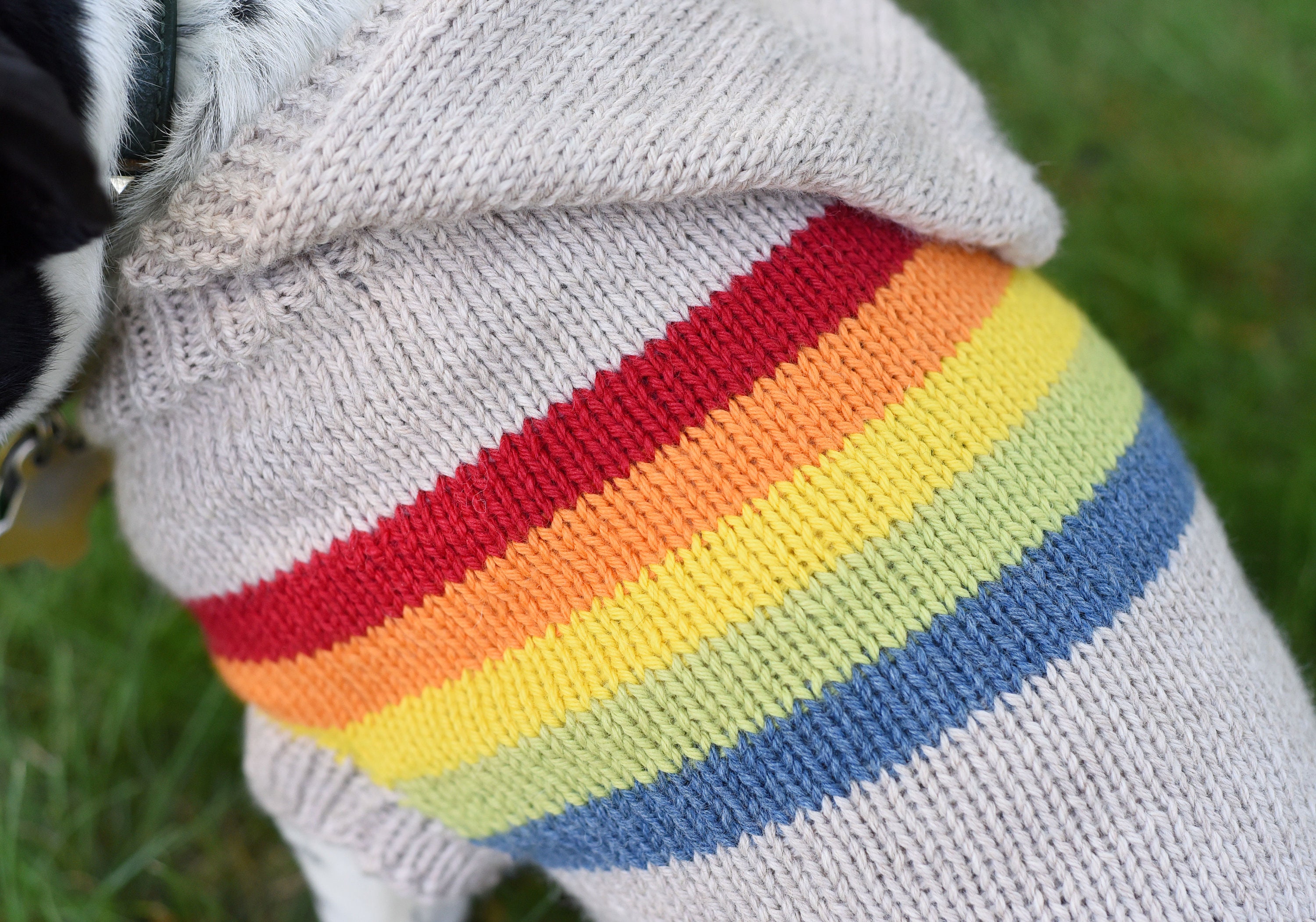 Retro Rainbow Dog Sweater Dog Sweater Knitting Pattern Etsy