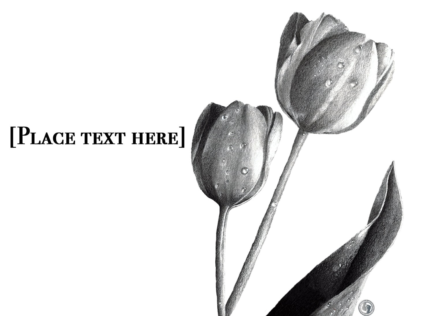 How to paint Flowers with Watercolour : Simple Tulip Drawing \u0026 Painting,  step-by-step | Cally Lawson | Skillshare, image size:1500x1096