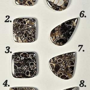 100% Natural Turritella Agate Cabochon, Fossilized Shell Gemstone, exceptional quality!