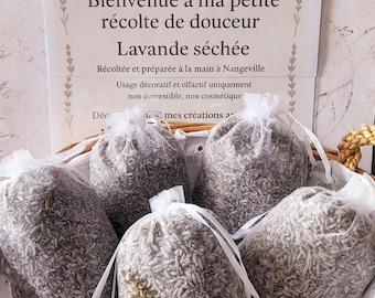 Naturalna suszona lawenda w hurtowych ilościach – ręcznie uprawiana we Francji – do projektów DIY i do dekoracyjnych woreczków