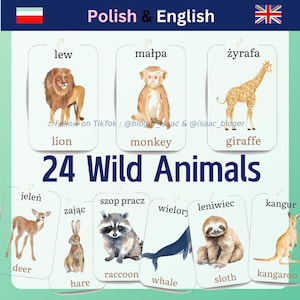 Può includere: Flashcard educative con illustrazioni di animali selvatici, con nomi in polacco e inglese. Le carte includono un leone, una scimmia, una giraffa, un cervo, una lepre, un procione, una balena, un bradipo e un canguro. Il testo "24 Wild Animals" è visualizzato.