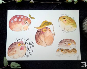 Desert Rain froggies / estampado de acuarela A5