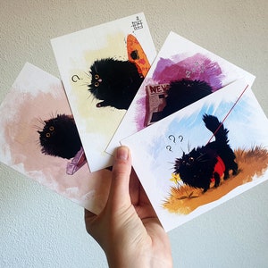 Fluffy black cat Postcard series A6 - Set