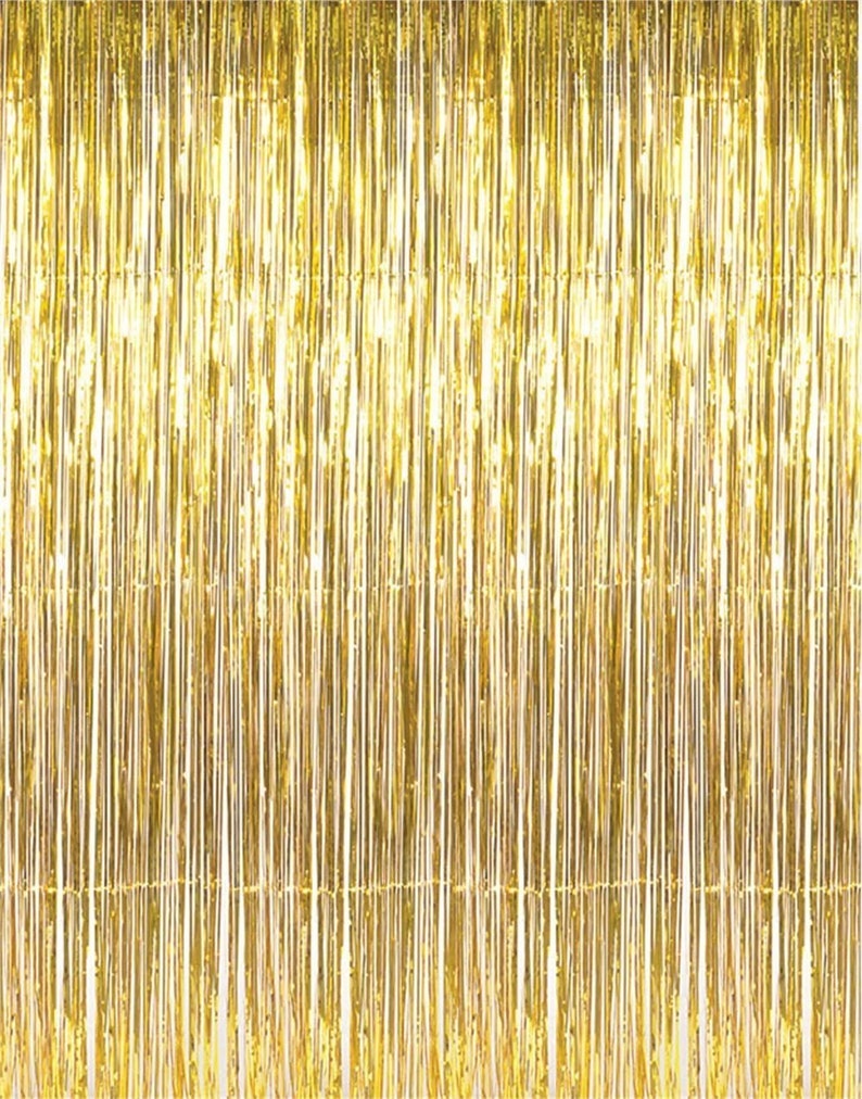 3.2 Ft X 9.8 Ft Metallic Tinsel Foil Fringe Curtains for Party Etsy