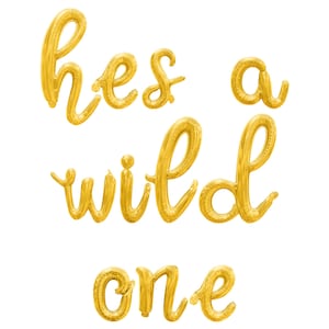 HES A WILD ONE Letter Balloon Banner - Cursive Letter Balloons - Gold, Silver & Rose Gold - 1st Birthday Party Decorations - 1 Year Old Baby