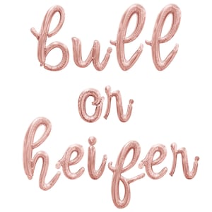 May include: Rose gold foil balloons spelling out "Bull or Heifer" in a cursive font.