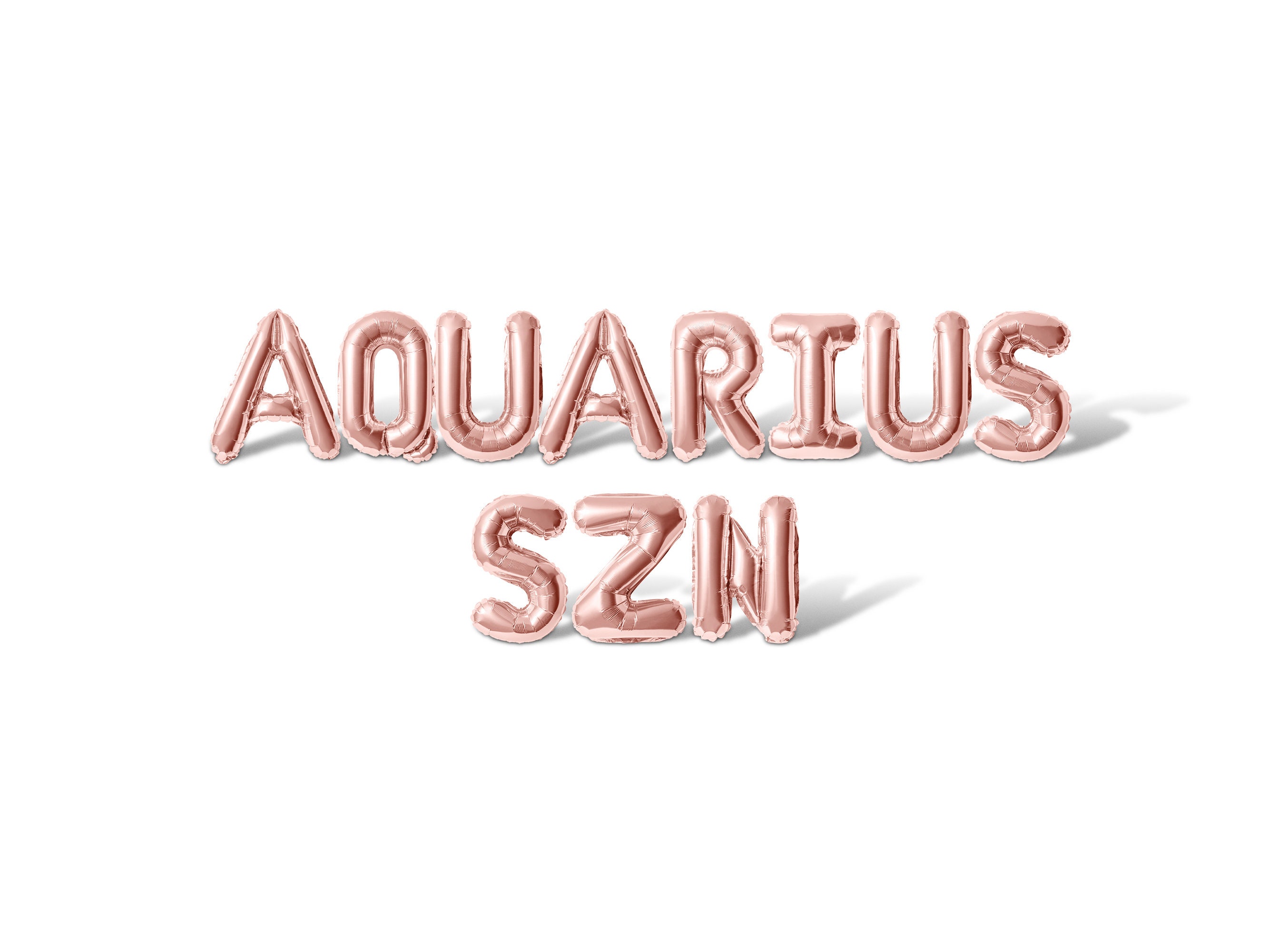 Zatain Aquarius Baddie Banner - Silver Glitter Zodiac Party Decor, 6ft Long, DIY Hanging Banner