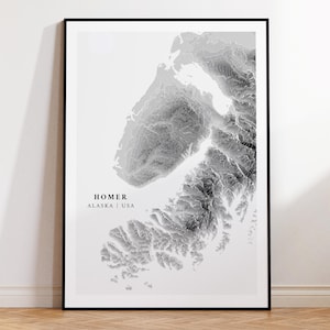 Póster de elevación de Homer Alaska - Mapa topográfico de contornos / Arte mural islandés