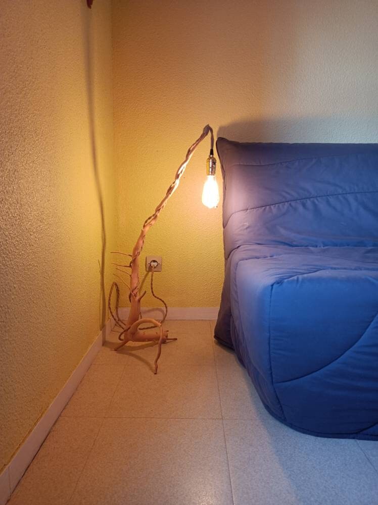 La Lampe d'ambiance Unique, Très Rare Bois Flotté
