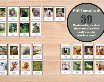 Montessori animal flash cards and matching game