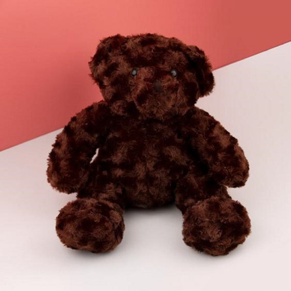 teddy bear with hidden pocket