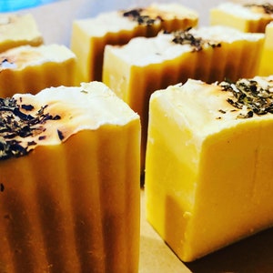Handmade Cold pressed Rosemary Mint Shampoo bars for dry hair