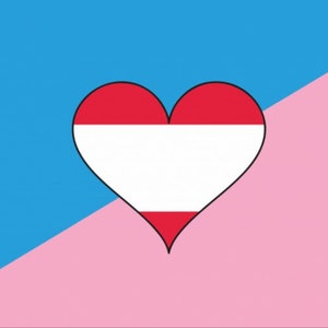 May include: A flag with a diagonal line dividing it into two sections. The top section is light blue and the bottom section is pink. A white heart with a red outline and a red stripe across the middle is centred on the diagonal line.