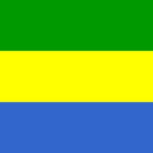 GABON VLAG 5X3 VOET (150cm X 90cm)