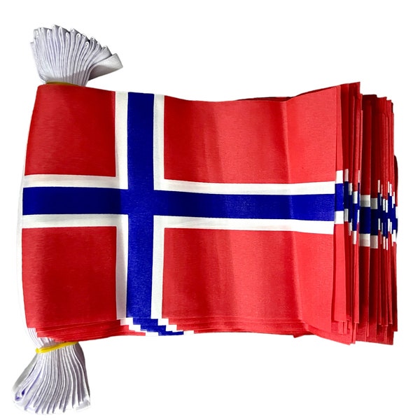 NORWAY FLAG BUNTING 9 metres 30 flags