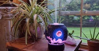 Essential Oil Diffuser