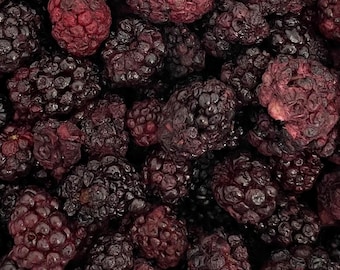 May include: Close-up of a pile of dark, dried blackberries. The berries are a deep purple-black color, with some showing a reddish hue. The texture appears wrinkled and slightly shriveled, indicating they are dehydrated.