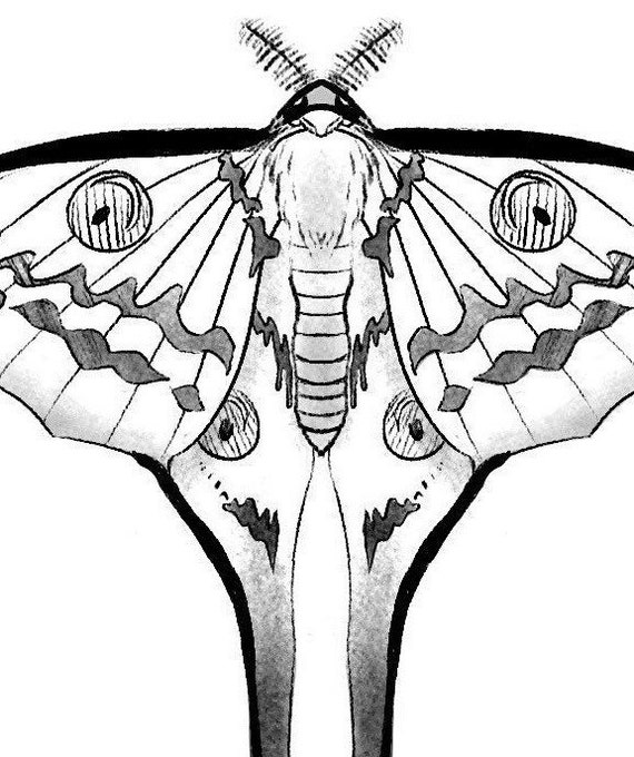 86 Remarkable Luna Moth Tattoos That Are On The Buzz Right Now