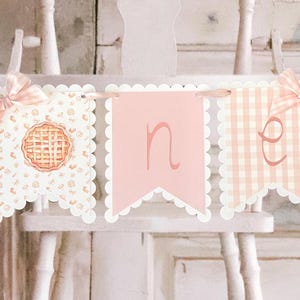 May include: A pink and white banner with the word "one" spelled out on it. The banner is decorated with gingham and pie patterns.