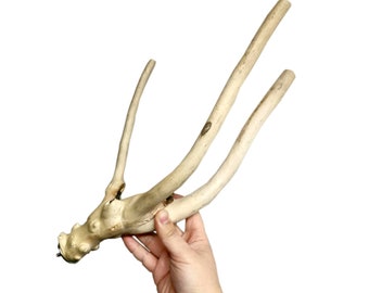 X-Large Multi Branch Natural Wood Parrot Perch