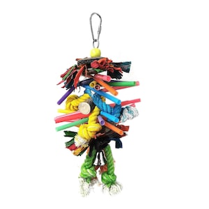 Party Time Parrot Chew Toy