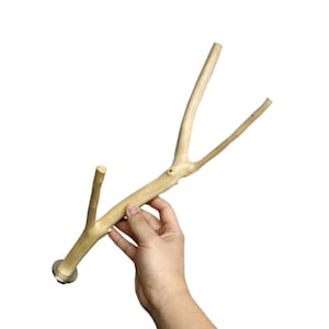 Large Multi Branch Natural Wood Perch For Parrot Bird