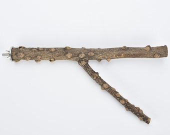 Perchoir de perroquet en bois de poivre naturel multi-branches moyen