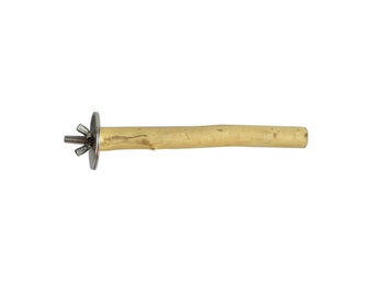 Liten naturlig spindelträpapegojaabborre