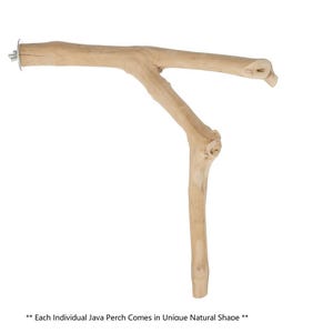 Könnte beinhalten: Naturbelassene Vogelstange aus Java-Holz mit einzigartigem, Y-förmigem Design. Die Stange hat eine Metallmontageplatte und eine Schraube für eine einfache Installation. Der Text unten lautet: "Each Individual Java Perch Comes in Unique Natural Shape."