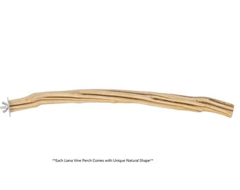 Poleiro de cipó Liana para papagaio (grande)