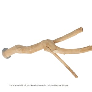 Java Wood Flergrenig Sittpinne (Liten)