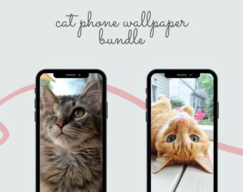 Paquete de fondos de pantalla de Cat Phone: Serie 1