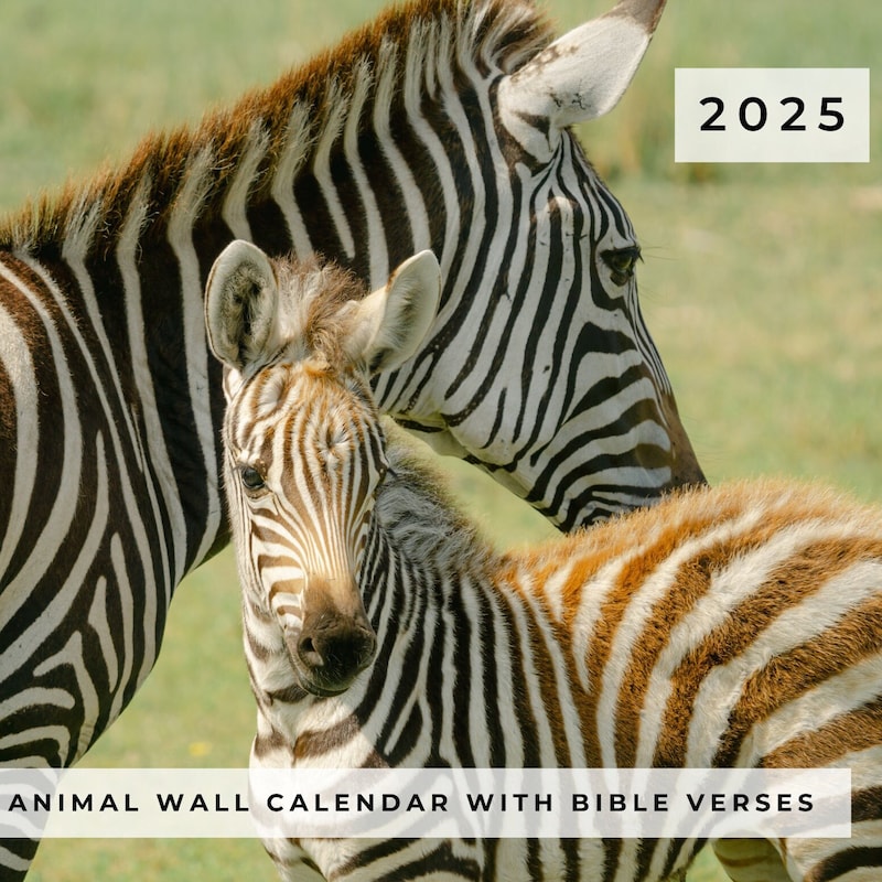 2025 Bible Verses Etsy