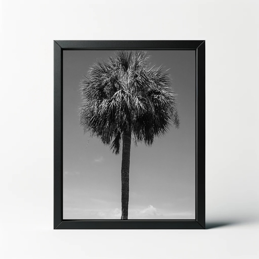 Palm Trees Entrance Mat - Etsy