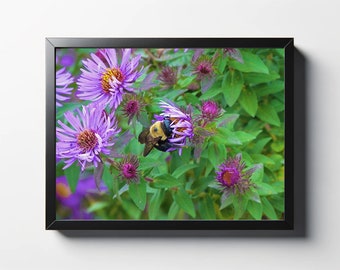 Hommel afdrukken | Hommel Foto | Bijenmuurkunst | Bijen wanddecoratie | Bij op bloemenprint | Bijenafdruk | Bijen foto