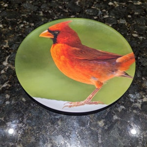 Cardinal Melamine Plate 8 inch