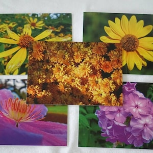 Flower Postcards Set of 10 Variety Pack | Snail mail | Pen pals | Stationery