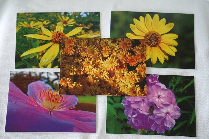 Flower Postcards Set of 10 Variety Pack | Snail Mail | Pen Pals ...