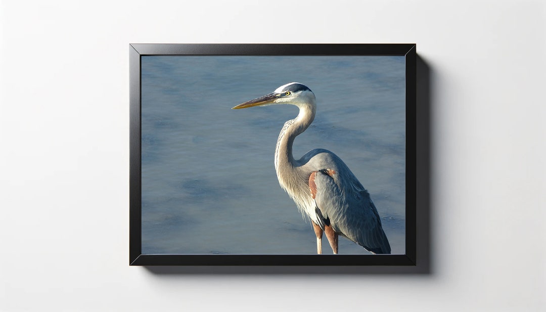 Great Blue Heron at Sea Print Great Blue Heron at Sea Photo Great Blue