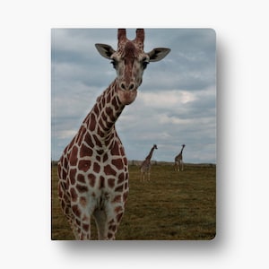 Giraffe Pals Softcover Notebook 8.5&quot; x 11&quot; with Dot Grid Pages