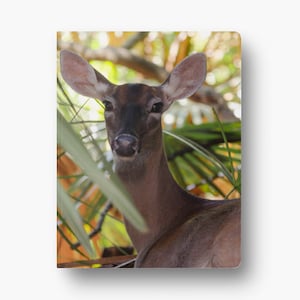 White Tailed Deer Softcover Notebook 8.5&quot; x 11&quot; with Dot Grid Pages
