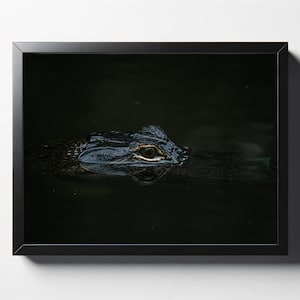Close Up Small Gator Print | Alligator Decor | Gator Photography | Nature Photo | Wildlife Photo