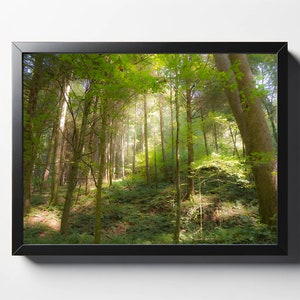 Golden Forest Print | Hocking Hills Forest Print | Tree Home Decor